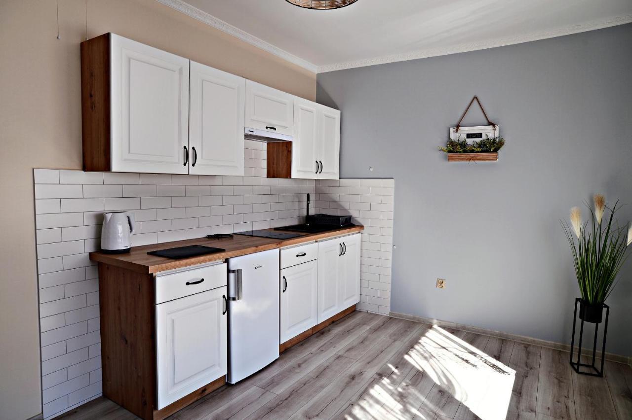 Z Tarasem I Klimatyzowane -drozdowka Solina Apartment *