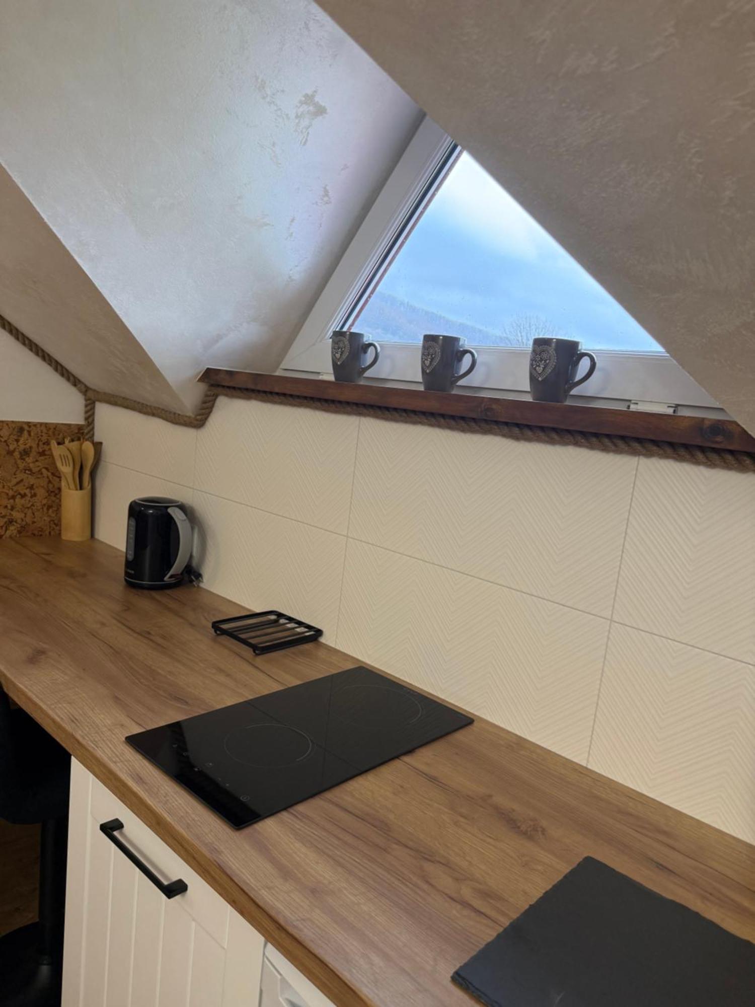 Z Tarasem I Klimatyzowane -drozdowka Solina Apartment *